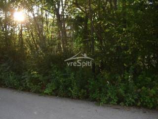 ΑΠΟΨΗ ΟΙΚΟΠΕΔΟΥ