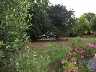 ΑΠΟΨΗ ΟΙΚΟΠΕΔΟΥ