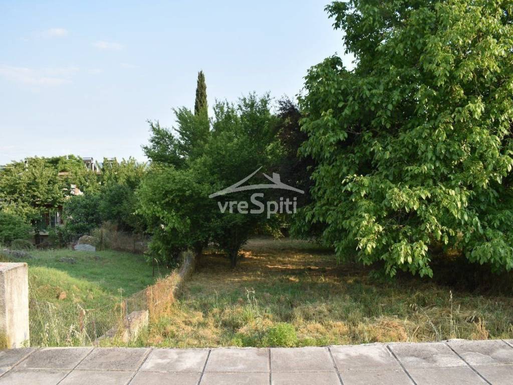 ΑΠΟΨΗ ΟΙΚΟΠΕΔΟΥ