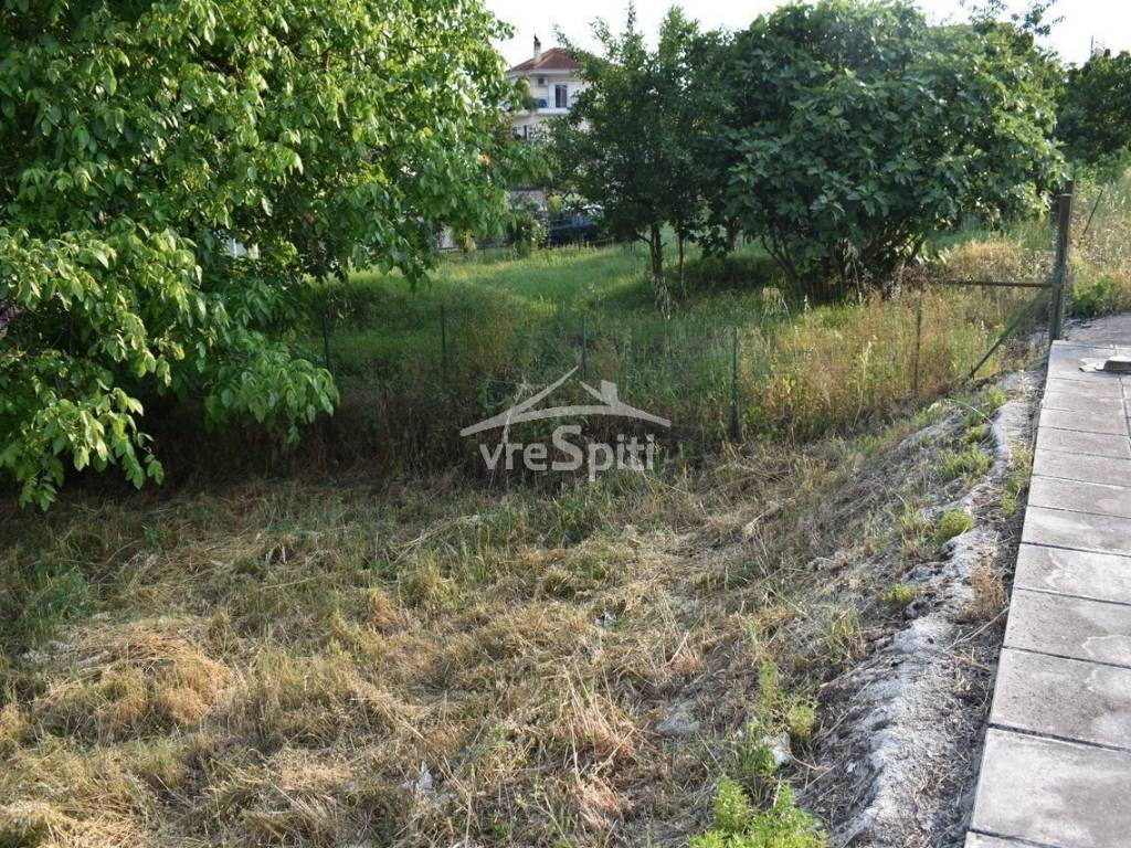 ΑΠΟΨΗ ΟΙΚΟΠΕΔΟΥ