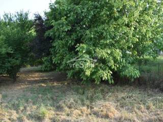 ΑΠΟΨΗ ΟΙΚΟΠΕΔΟΥ