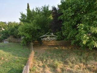 ΑΠΟΨΗ ΟΙΚΟΠΕΔΟΥ