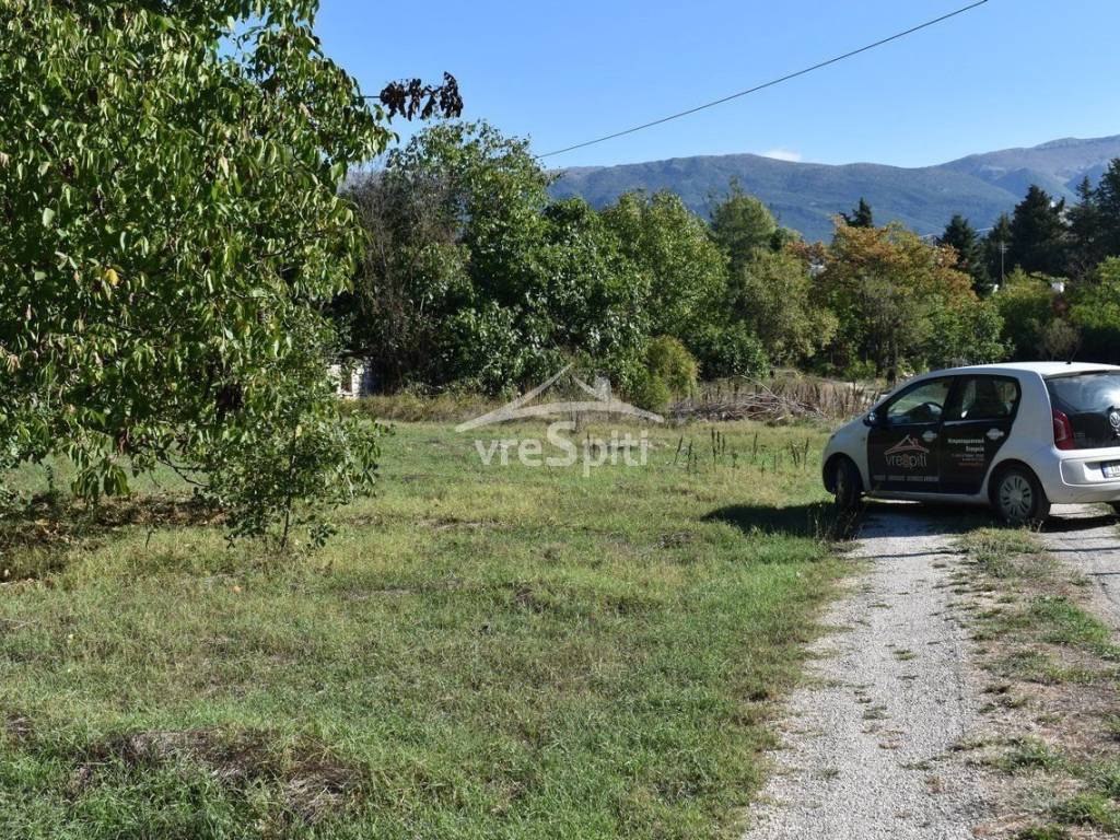 Φωτογραφίες οικοπέδου.