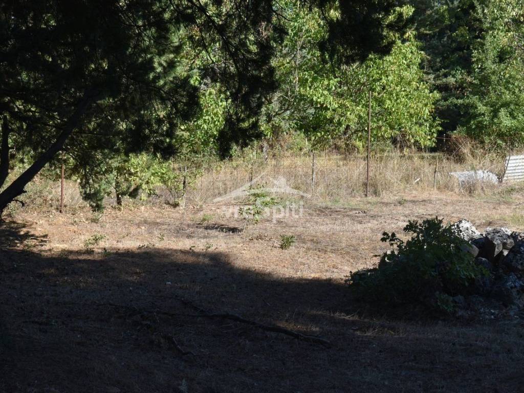 Φωτογραφίες οικοπέδου.