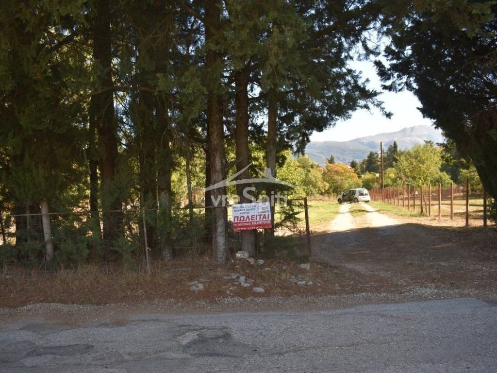 Φωτογραφίες οικοπέδου.