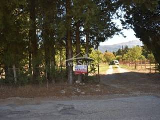 Φωτογραφίες οικοπέδου.