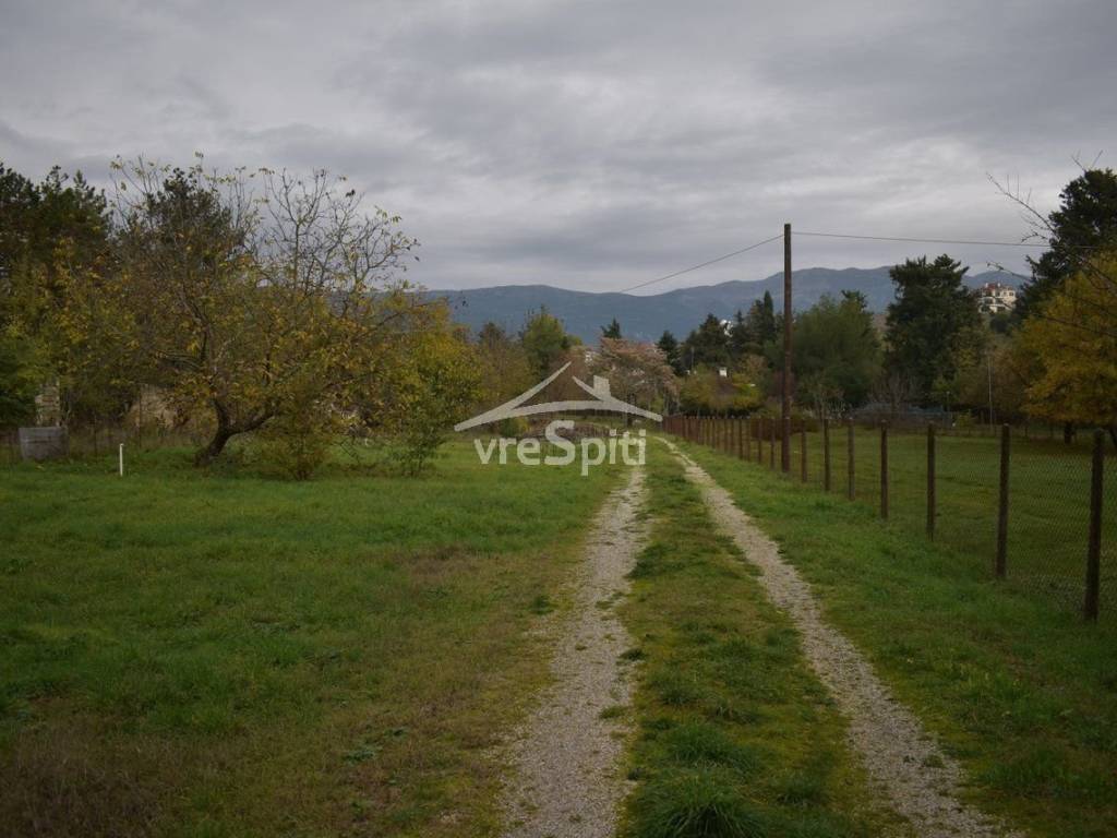 Φωτογραφίες οικοπέδου.