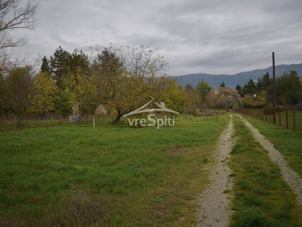 Φωτογραφίες οικοπέδου.