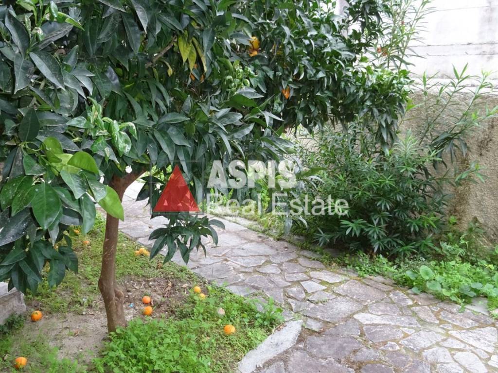 Εξωτερικοι χώροι