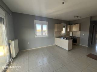 Forumland Real Estate, Salokoyzina