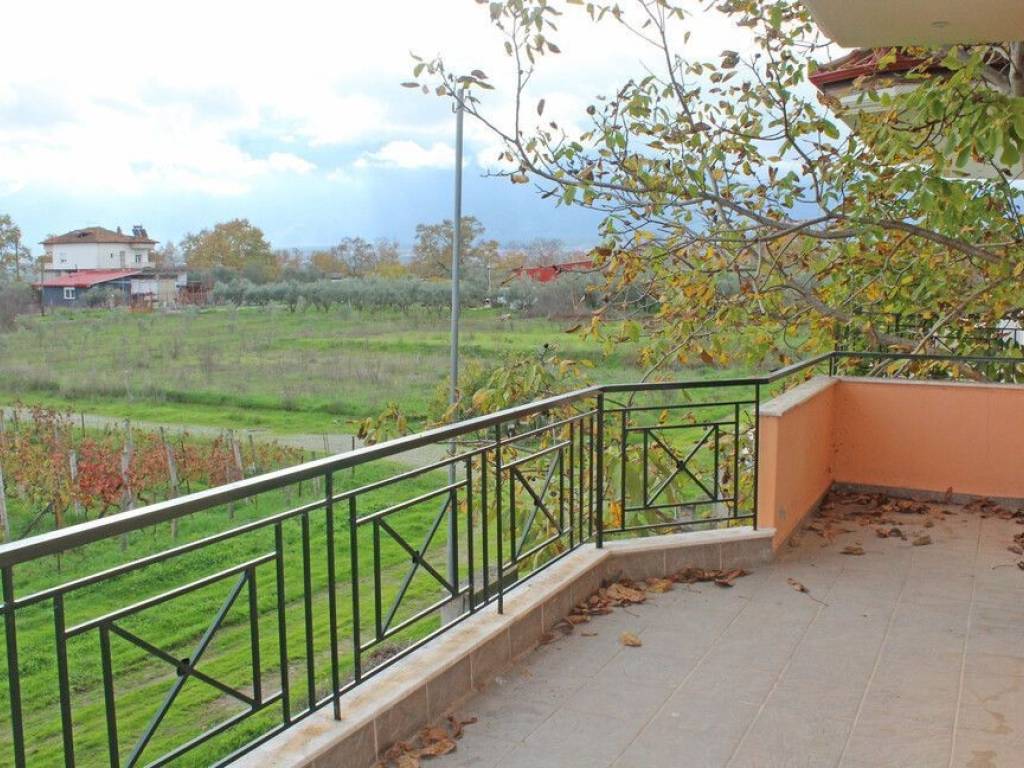 Detached - Grekodom 64455|1031840