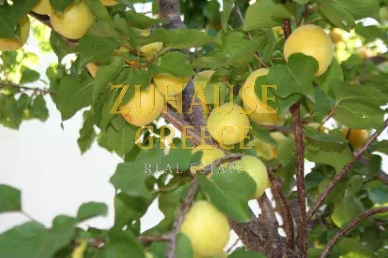 Ύπαρξη ανθρώπου