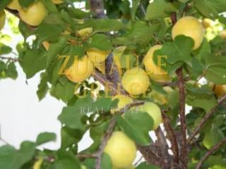 Ύπαρξη ανθρώπου