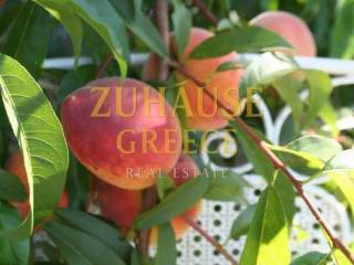 Ύπαρξη ανθρώπου