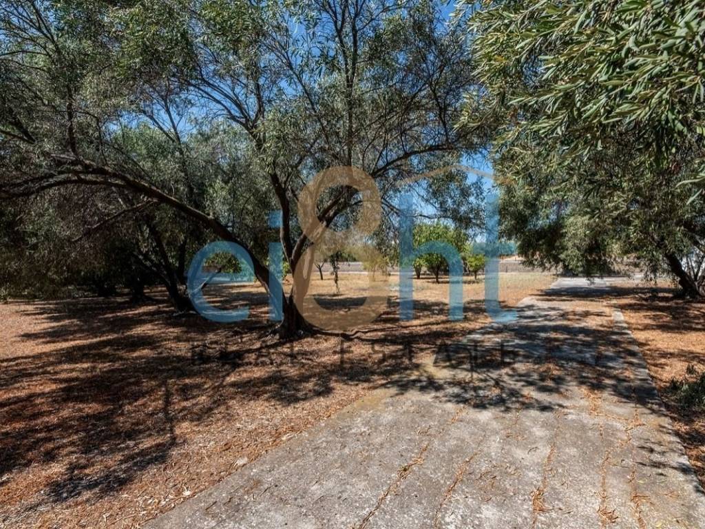 Ύπαρξη ανθρώπου