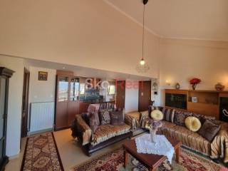 Σαλοκουζίνα