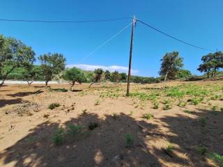 Plot - Grekodom 63500|991089