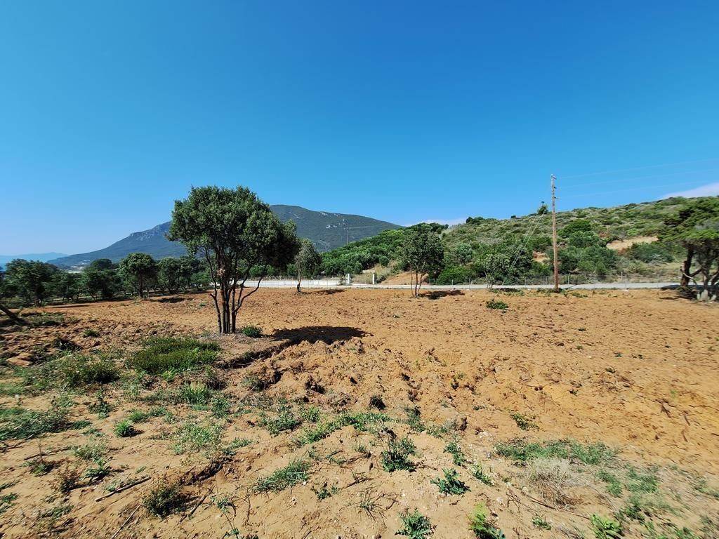 Plot - Grekodom 63500|991090