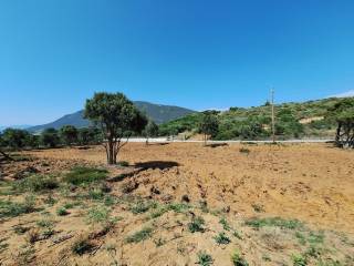 Plot - Grekodom 63500|991090