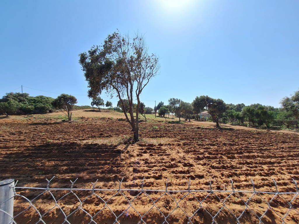 Plot - Grekodom 63500|991095