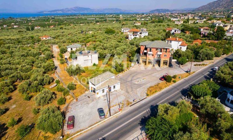 Άποψη χώρου