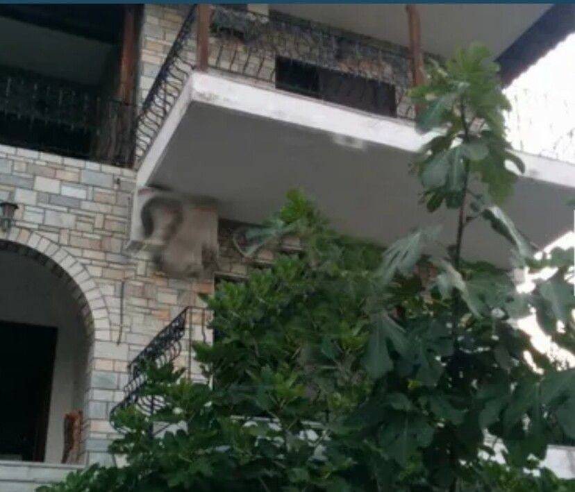 Maisonette - Grekodom 64841|1029493