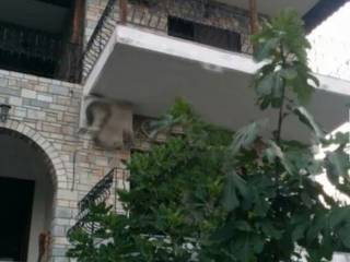 Maisonette - Grekodom 64841|1029493