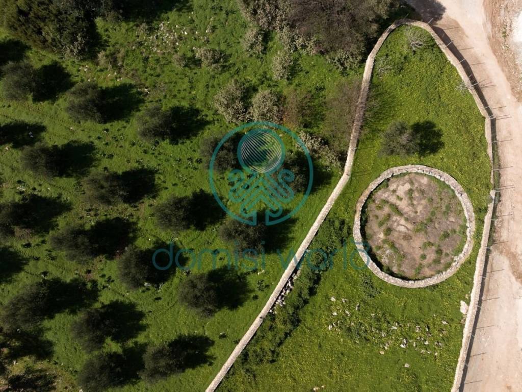 Ύπαρξη ανθρώπου