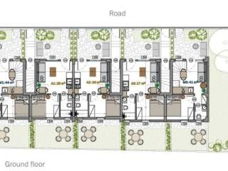 katopse diamerismatos