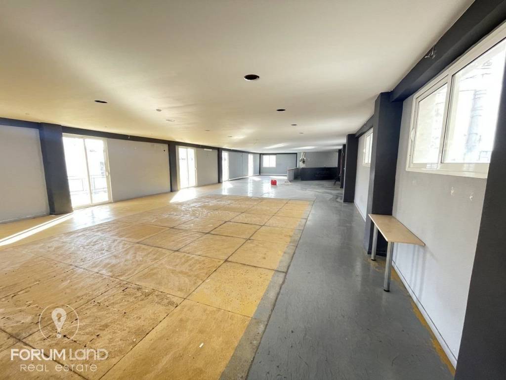 Forumland Real Estate, Επαγγελματικός χώρος