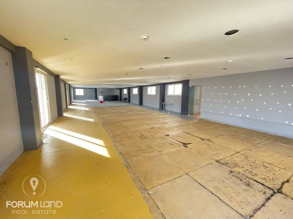 Forumland Real Estate, Επαγγελματικός χώρος