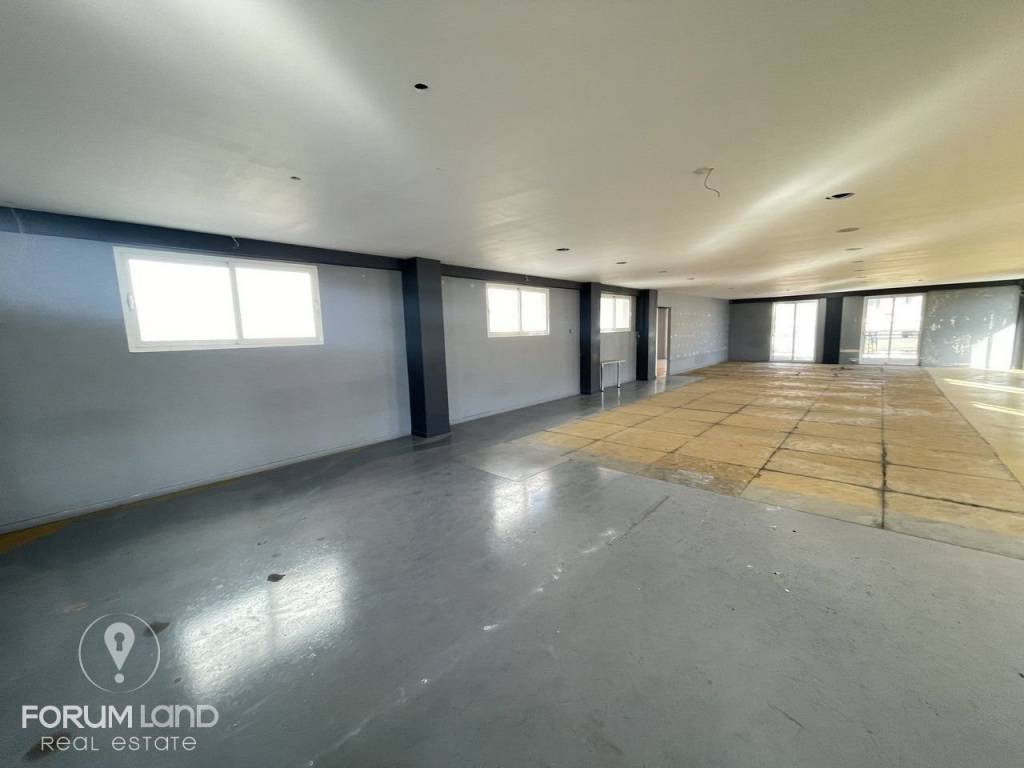 Forumland Real Estate, Επαγγελματικός χώρος