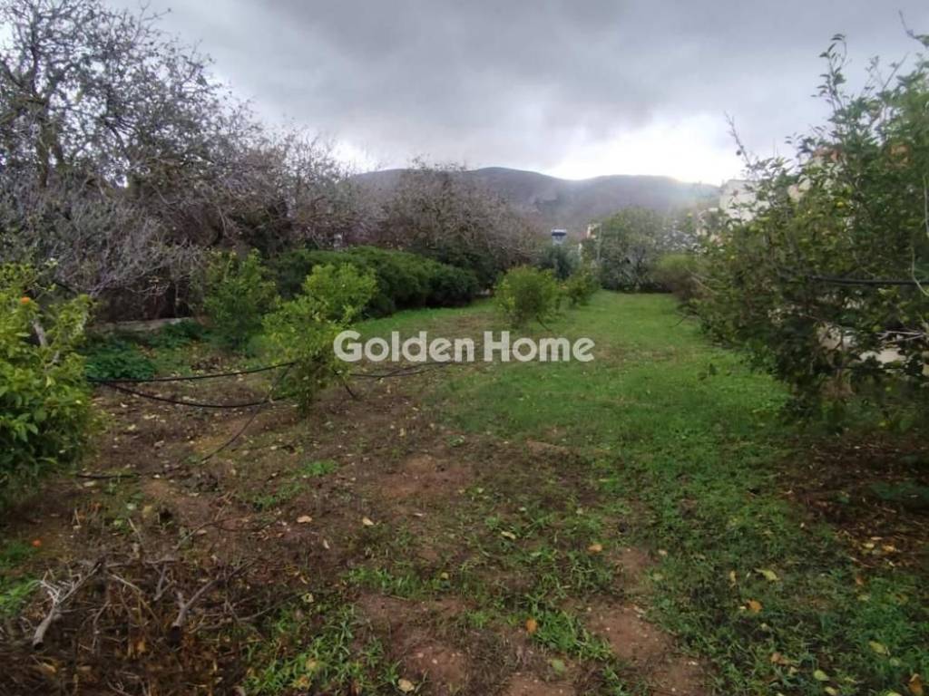 Εξωτερικός Χώρος