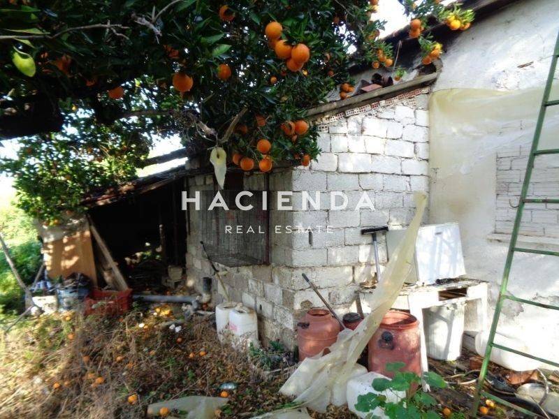 Ύπαρξη ανθρώπου