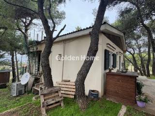 Ανελκυστήρας