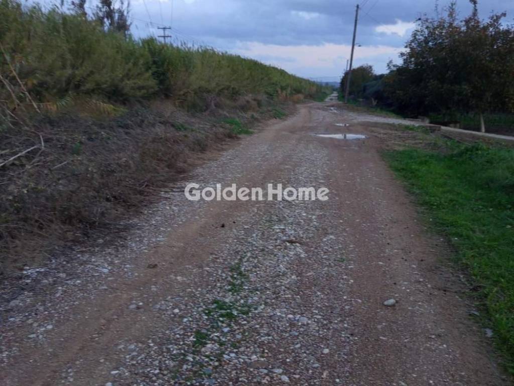 Κυρίως Χώρος