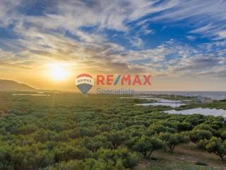 Εξωτερικοι χώροι