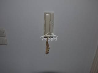 ΘΥΡΟΤΗΛΕΦΩΝΟ