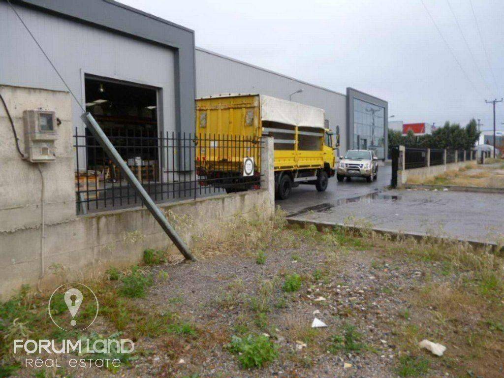 Forumland Real Estate, Exoterike Opse