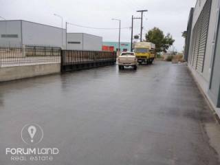 Forumland Real Estate, Exoterike Opse