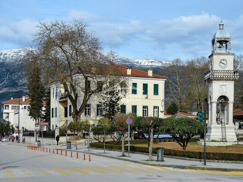 ΑΠΟΨΗ ΠΟΛΕΩΣ ΙΩΑΝΝΙΝΩΝ