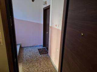 Apartment - Grekodom 64915|1032186