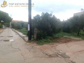 Apopse toy oikopedoy