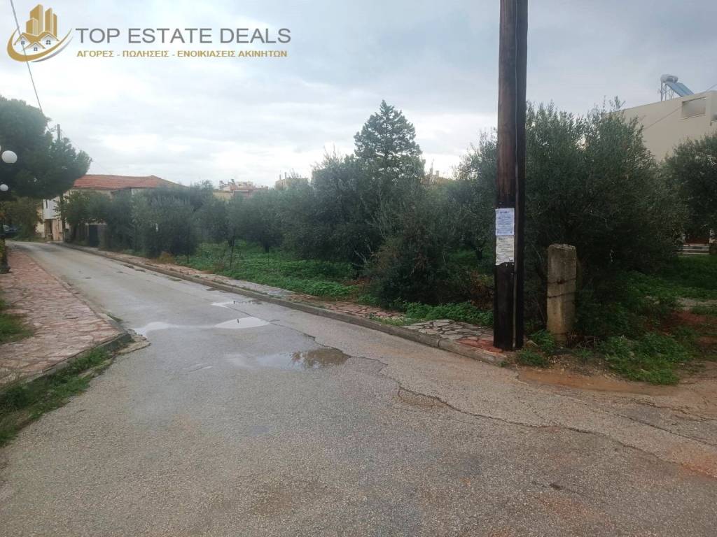 Alle apopse toy oikopedoy