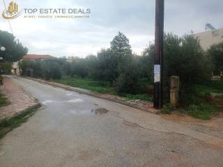 Alle apopse toy oikopedoy