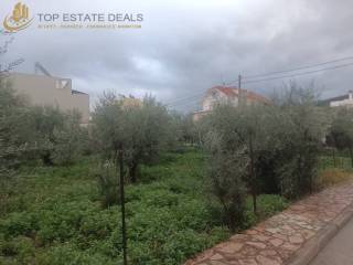 oikopedo goniako anamesa  apo oikies