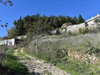 ΑΠΟΨΗ ΟΙΚΟΠΕΔΟΥ