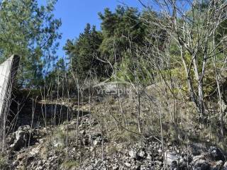 ΑΠΟΨΗ ΟΙΚΟΠΕΔΟΥ