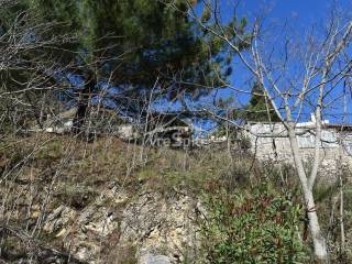 ΑΠΟΨΗ ΟΙΚΟΠΕΔΟΥ