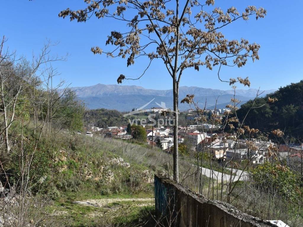 ΑΠΟΨΗ ΟΙΚΟΠΕΔΟΥ